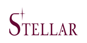 Logo of Stellar Services Agency