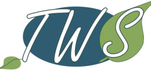 Logo of Therapy Web Solutions Agency