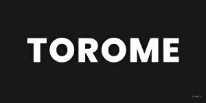 Logo of Torometech Agency